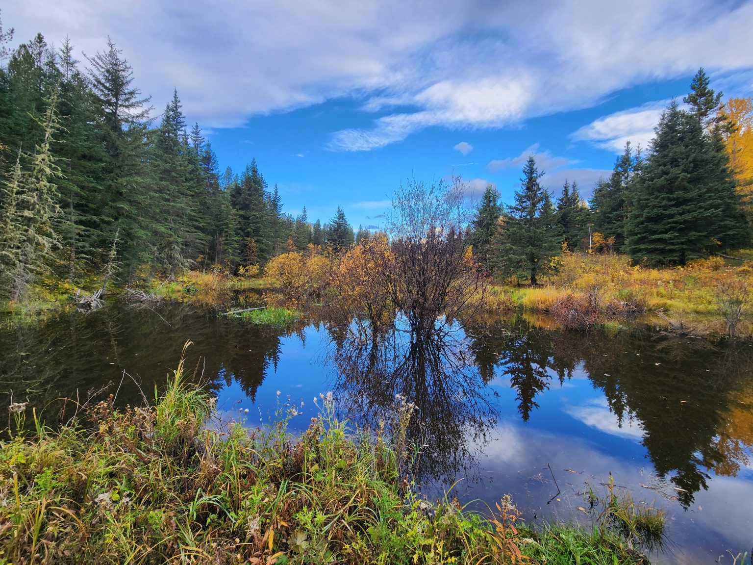 Discover BearPaw Ranch Alberta - BearPaw Ranch