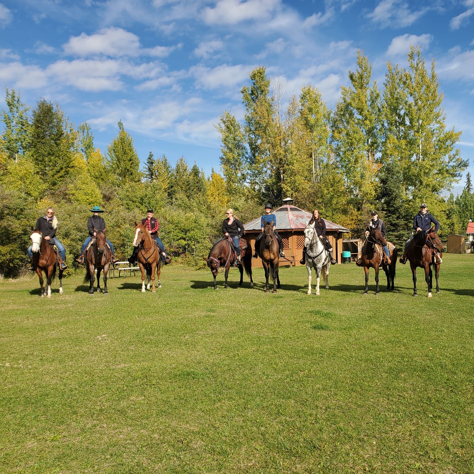 group event horses recreation